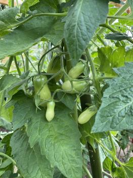 Preview: Himmelsstürmer